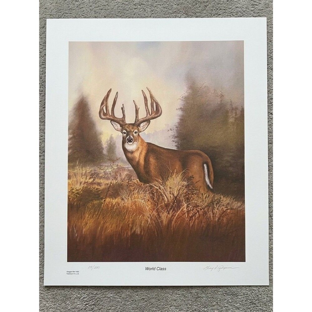 Gary Logsdon World Class Signed Numbered Whitetail Deer Print 1985 Wildlife Art